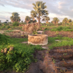 An old well to be repurposed as a borehole on GGD's property