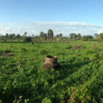 A panoramic view of the Sanyang Village project site