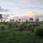 GGD project site in Sanyang Village at sunset